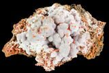 Bright Orange Crocoite Crystal Cluster with Gibbsite - Tasmania #106798-1